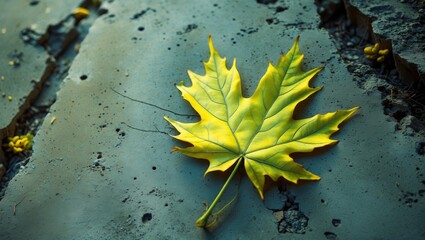 Wall Mural - yellow maple leaf resting on textured concrete surface with scattered small debris in natural light.