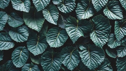 Poster - Lush green textured leaves background with varying shades and patterns in natural lighting