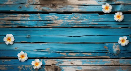 Poster - White frangipani flowers on rustic blue wooden background with weathered texture and natural imperfections.