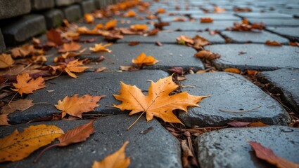 Wall Mural - Golden autumn leaves scattered on a cobblestone pathway creating a picturesque seasonal scene in nature's vibrant colors.