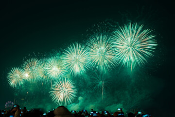 colorful fireworks exploding at english bay against sky