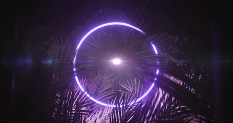 Wall Mural - image of light trails over neon circle and leaves on black background