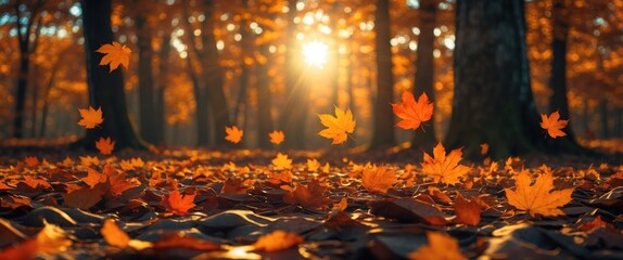 Wall Mural - autumn forest scene with fallen orange leaves and sunlight filtering through trees at sunset