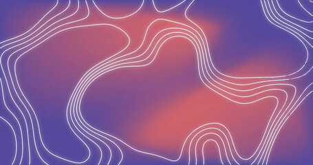 Wall Mural - image of white lines moving over pink and purple background