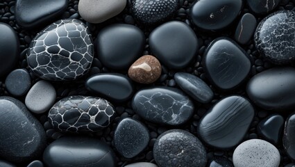 Fototapete - Smooth black pebbles with unique patterns scattered on a beach, creating a serene and calming natural background texture.