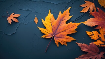 Wall Mural - autumn leaves in vibrant orange and yellow hues arranged on dark textured background with subtle sha