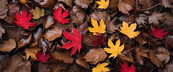 Wall Mural - colorful autumn leaves on a bed of brown leaves creating a rich textured natural background image