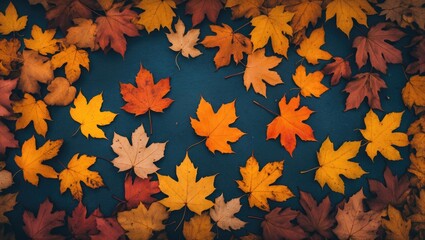 Wall Mural - autumn leaves in various shades of orange yellow and brown scattered on a dark blue background natur