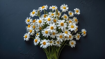 Wall Mural - Fresh daisies bouquet on a dark textured backdrop showcasing vibrant white petals and bright yellow centers for floral design or decoration.