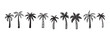 © Yanka - Palm tree tropical nature, vegetation doodle hand drawn icon set. Outline drawing palm tree tropical nature, vegetation line clipart symbol collection