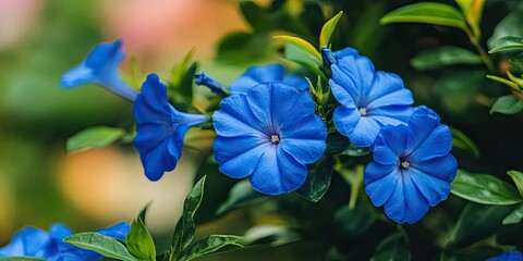 Leinwandbilder - Vibrant blue flowers in lush green foliage captured in macro view with delicate petals and soft bokeh background enhancing beauty and elegance