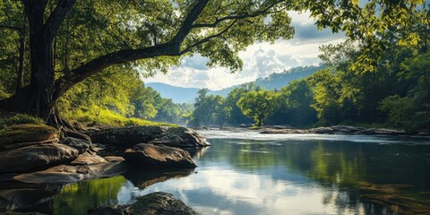 Leinwandbilder - Tranquil river scene with lush green trees reflecting in calm waters under a bright sky, showcasing untouched nature and serene landscapes