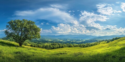 Poster - Lush green meadow under a bright blue cloudy sky with a prominent tree in the foreground and distant mountains creating a serene spring landscape.