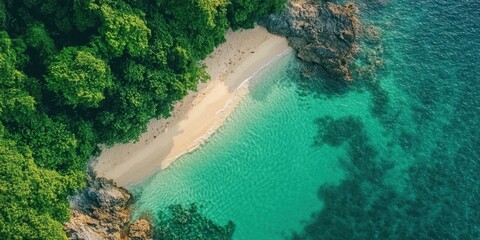 Aufkleber - Aerial view of a tranquil beach with golden sand bordered by lush green trees and serene turquoise waters inviting relaxation and getaway vibes