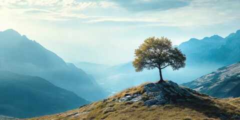 Leinwandbilder - Solitary tree atop a rocky hill with golden grass, surrounded by misty blue mountains and a serene cloudy sky in a tranquil landscape.