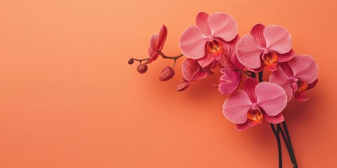 Aufkleber - Orchids in soft pink hues arranged elegantly on the left side against a vibrant orange background creating a warm and inviting atmosphere