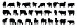 © Yanka - cow and calf silhouette set. cow and calf isolated farm animal silhouette icon vector collection