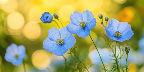 Aufkleber - Delicate blue flax flowers in soft focus against a warm bokeh background showcasing various shades of yellow and green with vibrant greenery accents.