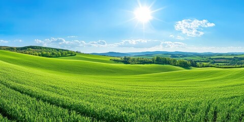 Poster - Vibrant green rolling hills under a bright sun with a blue sky and scattered clouds creating a peaceful nature landscape ideal for relaxation.