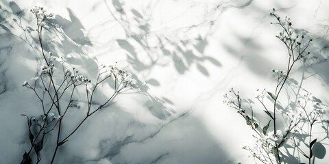 Poster - Floral shadows cast on a light marble backdrop with greenery accents soft shadows in soft sunlight creating a contemporary minimal aesthetic