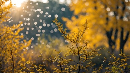 Wall Mural - morning dew on autumn foliage with soft bokeh effect creating a warm and colorful natural backdrop i