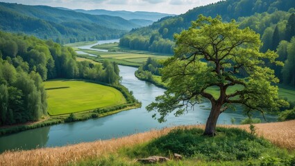 Wall Mural - Scenic landscape with river flowing through green hills and fields under a clear sky featuring a solitary tree on the riverbank