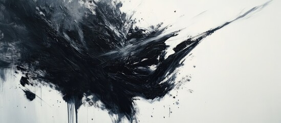 Leinwandbilder - Dynamic abstract black and white artistic splash composition showcasing bold brush strokes on a light background creating a sense of movement.