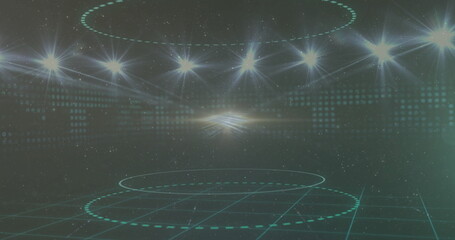 Wall Mural - image of light spots and circles over black background