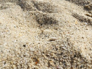 Wall Mural - Natural sea sand texture, sea sand background