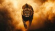 © Najibah Azzemi - Majestic Lion Charging Through Dusty Landscape Under Dramatic Lighting