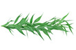 © Mr. Png - Fresh green grass element on white background, cut out