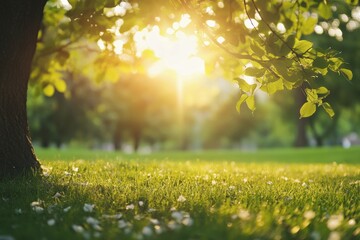 Poster - Sunlight filters through leaves illuminating a tranquil park in springtime. Generative AI
