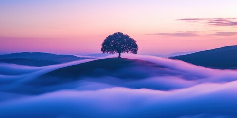 Poster - Tree is on a hill with a foggy sky