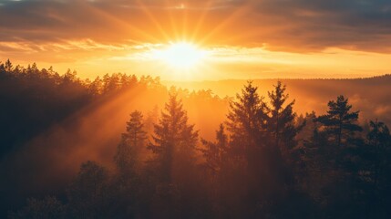 Fototapete - Beautiful sunrise illuminating forest landscape with mist and golden rays over treetops in early morning. Generative AI
