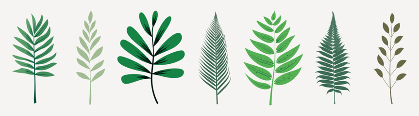 Poster - Diverse botanical leaf illustrations, isolated vector set