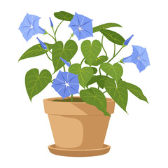 Sticker - Potted plant morning glory flower flowers illustration potted vector