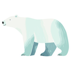 Wall Mural - Polar bear wildlife animal mammal  vector