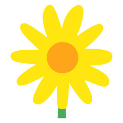 Wall Mural - individual flower illustration asteraceae minimalist vector