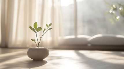 Poster - Minimalist indoor plant shining in natural light on a serene wooden table : Generative AI