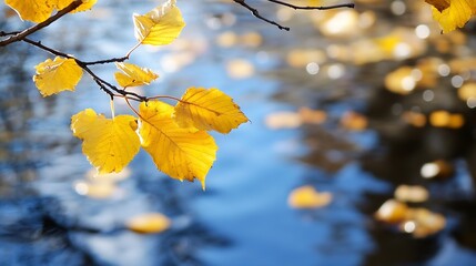Fototapete - Golden Autumn Leaves Glistening Above Calm Water Surface in a Scenic Nature Setting : Generative AI
