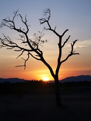 Aufkleber - A silhouetted tree against a stunning sunset backdrop highlighting nature's beauty : Generative AI