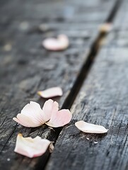 Poster - Delicate cherry blossom petals scattered on a rustic wooden surface creating a serene atmosphere : Generative AI