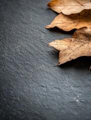 Poster - Dried autumn leaves resting on a textured slate surface creating a rustic and natural composition : Generative AI