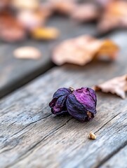 Poster - Close Up of Dried Purple Flower Petals on Weathered Wooden Surface with Autumn Leaves : Generative AI