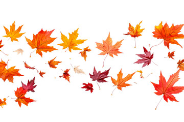Wall Mural - Vibrant autumn leaves drifting in gentle breeze