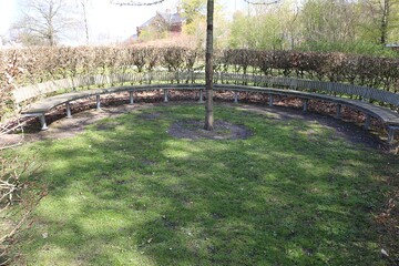 large semicircular empty wooden bench stands in a park around a small tree