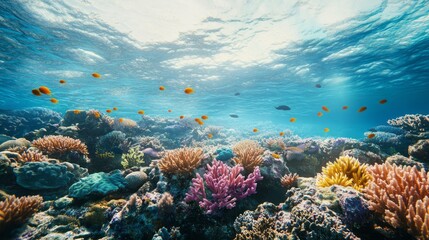 Wall Mural - Vibrant Underwater Coral Reef Ecosystem with Schools of Fish in Turquoise Waters