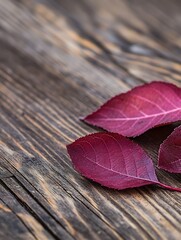 Poster - Vibrant Red Leaves Scattered on Rustic Wooden Surface Creating a Cozy Vibe : Generative AI
