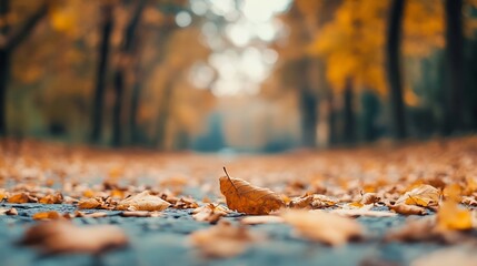 Poster - Autumn scenery in a park with fallen orange and yellow leaves covering the ground : Generative AI