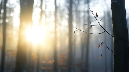 Aufkleber - Sunlight Filtering Through Trees in a Misty Forest at Sunrise : Generative AI